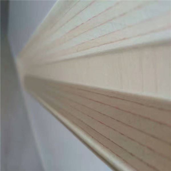 Může být překližka uložena na venkovním vzduchu -- 山东云速网络 --4 组 -- 刘洁