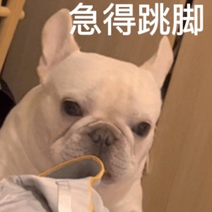 Ergggdffdh435435 řekl: